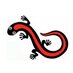 Raincoast Education (@raincoasted) Twitter profile photo