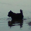 Sheila Kerr - @sheilakerr420 - Twitter