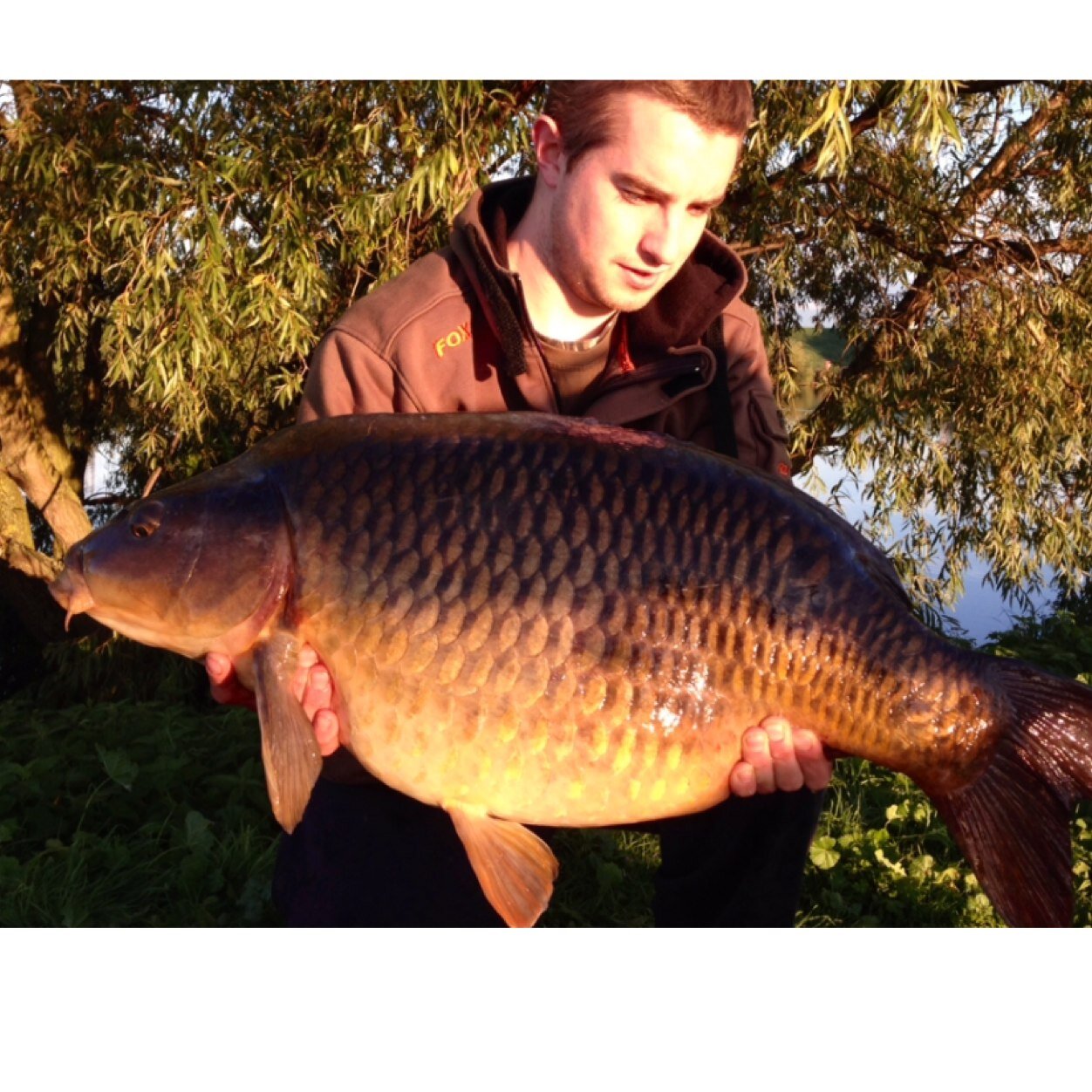 Dan_simmi's profile picture. 