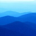 rex pak - @pak_rex - Twitter