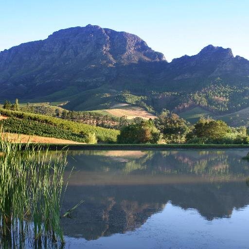 Alluvia Specialist Winery - luxury wines (ilka, lisa, sandie), Stellenbosch. Private Residence Club selling on-site + Alluvia Spa on estate.