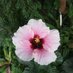 GarfieldConservatory (@gpconservatory1) Twitter profile photo