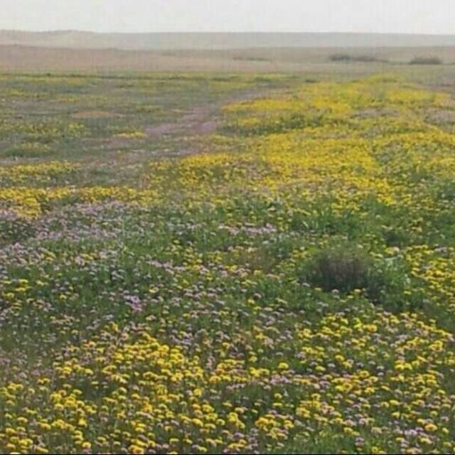 كن من تكون فإنك من ترااااب