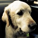 martin hubert - @ipman1974 - Twitter