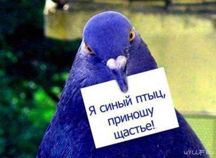 aaf_66's profile picture. Воплощаю мечты! Люблю жизнь!