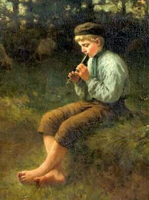 AliDr7's profile picture. 