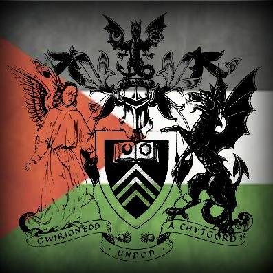 PalSocCardiff's profile picture. Cardiff University Palestine Society - raising awareness of Palestine, whilst promoting values of justice, peace, freedom and equality for all.