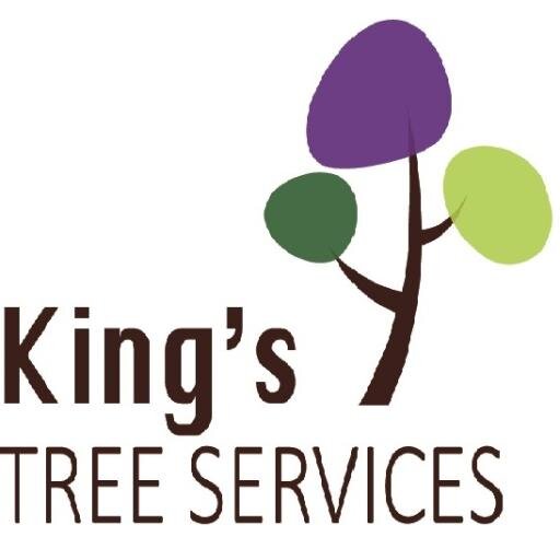 King's Tree Services Ltd are a friendly and affordable tree surgery company, based in Tetbury, Gloucestershire, with a highly qualified and insured team.