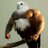 BZackasee's profile image