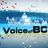 VoiceofBC's profile image