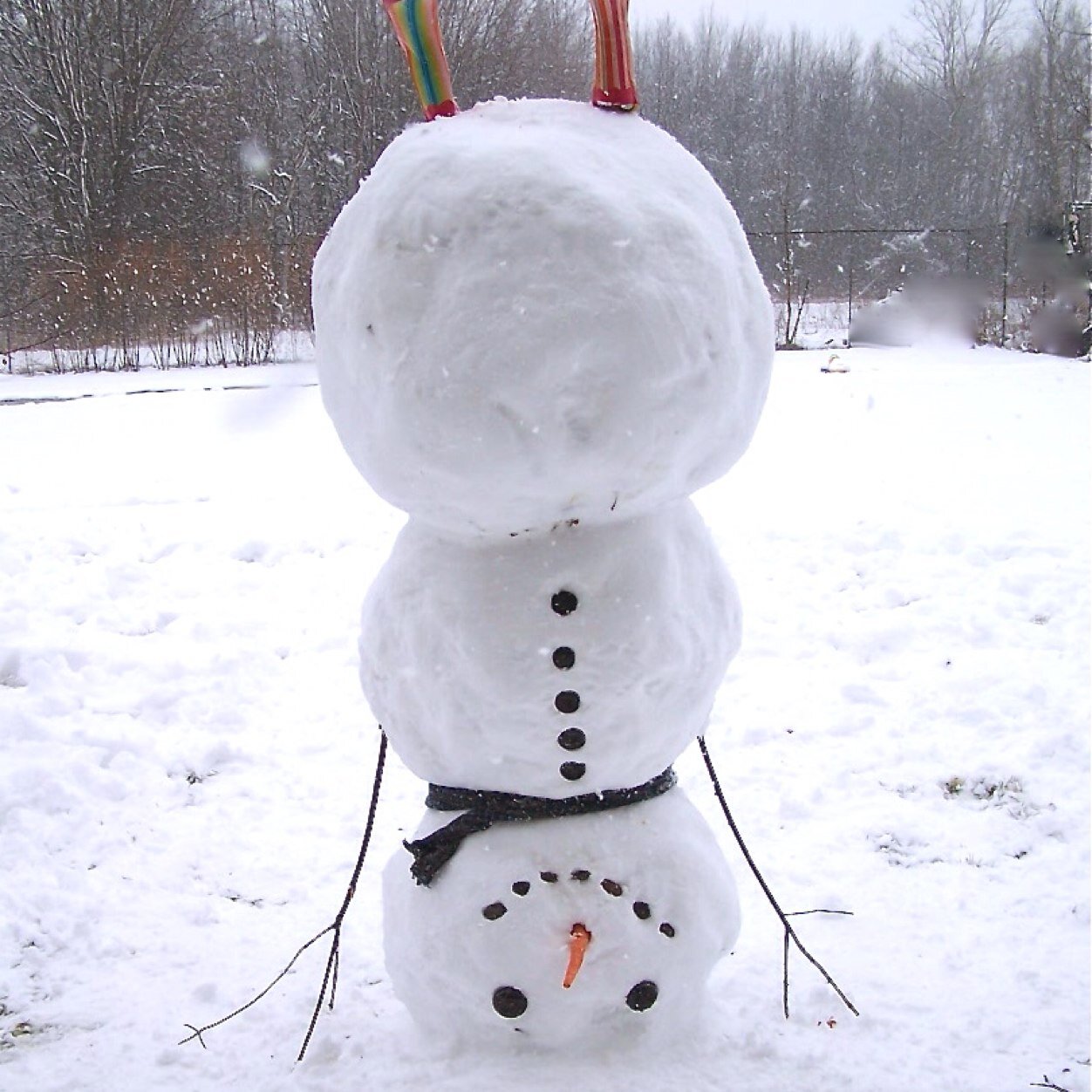 Snow days for days