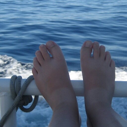 ineedtoloosefat's profile picture. 