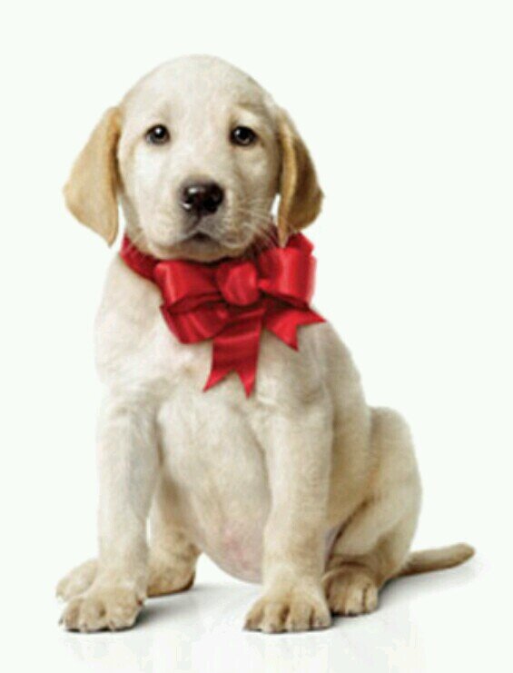 an_nerin's profile picture. 