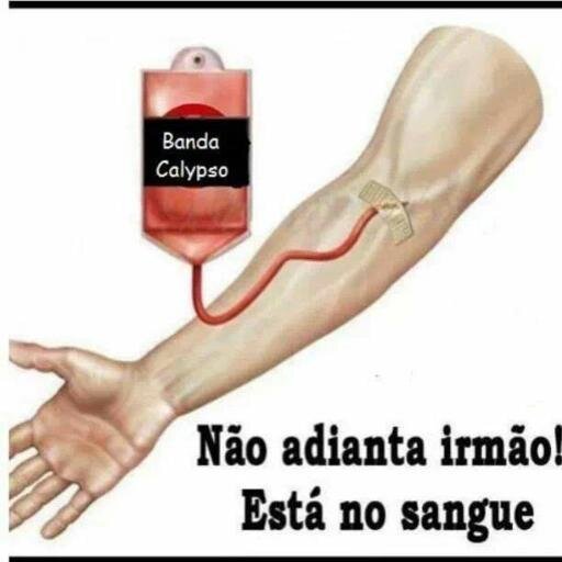 Sou, quem sou, e não suporto duas caras...Sou uma Calypseira com muito orgulho! Gosta de mim que bom,não gosta melhor ainda!!