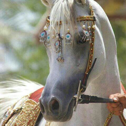 fr7_j's profile picture. 