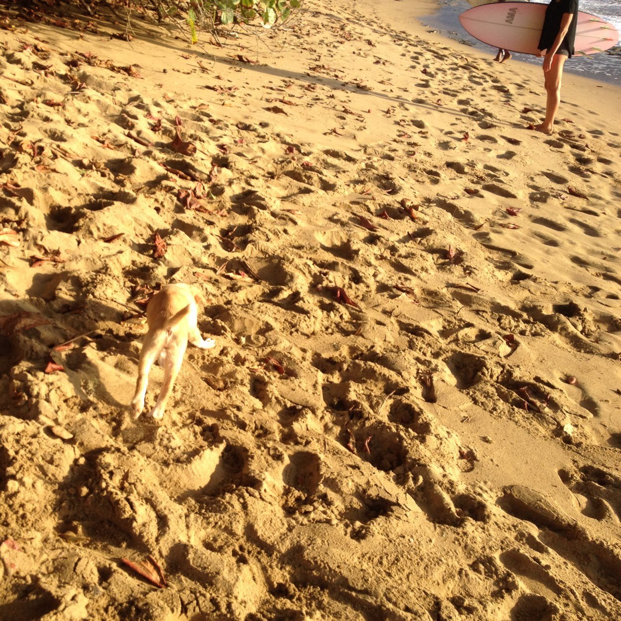 finding beauty in the imperfect and twisted things that drift ashore