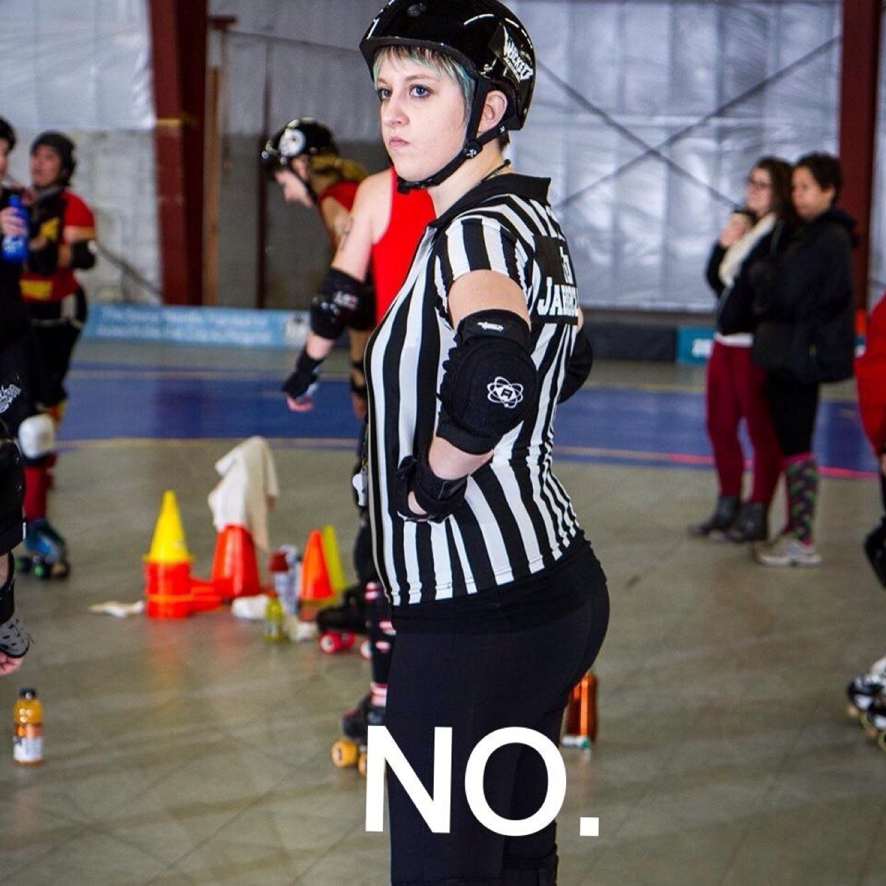 Teacher. Roller Derby Referee. Musician. Gamer. Whovian.
