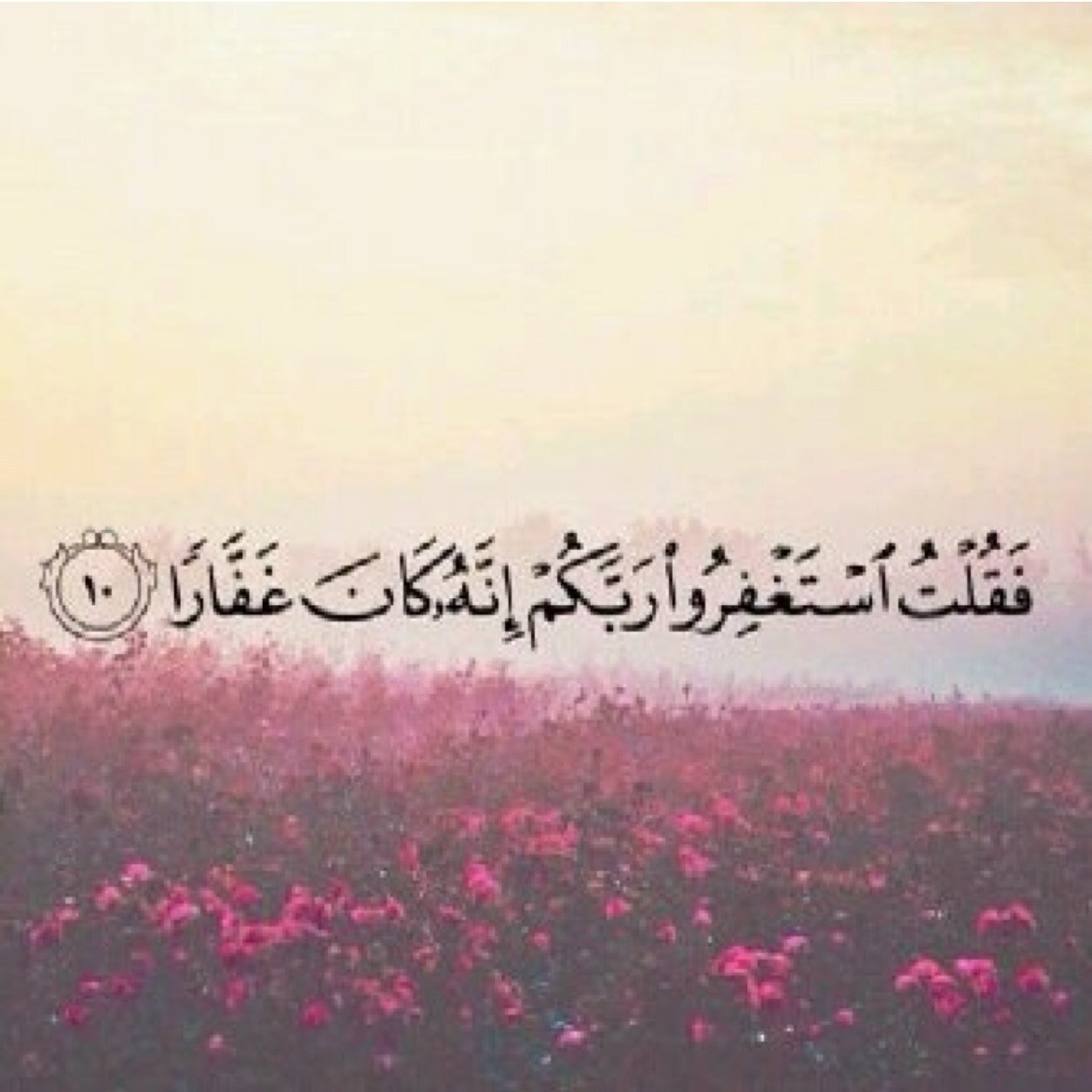 فَمَن ثَقُلَتْ مَوَازِينُهُ فَأُولَٰئِكَ هُمُ الْمُفْلِحُون.