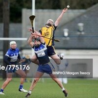 David Gavin (@davgav6) 's Twitter Profile