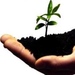 Startup_Ticker's profile picture. 