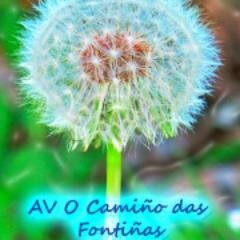 Asociación veciñal do barrio compostelán das Fontiñas