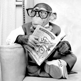 Avid reader with an opinion! Love tweeting and re-tweeting for authors. Always looking for new books and authors to read and review.