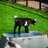nroberts0511's profile image