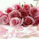 Gül (@571_gul) Twitter