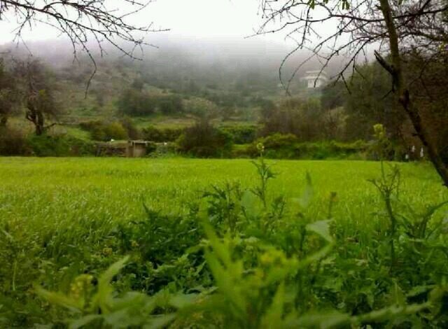 يامرحبا