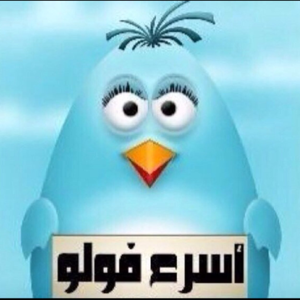 تابعني أتابعك تبادل رتويت 5/5 من المفضله بعدها تم بالخاص وأبشر،،،  الأحترام للجميع قاعدتي في الحياه،،، ❌ ❌❌❌