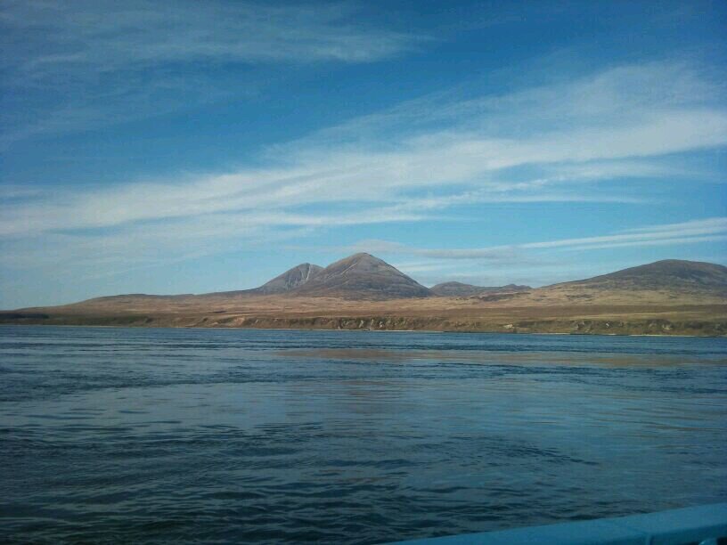 YvonneCunning20's profile picture. 