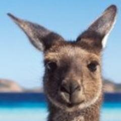 Tourism Australia's official UK media account.