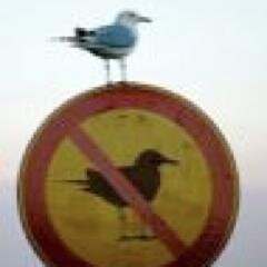 ian_petrie's profile picture. Writer, trying to tell stories about producers in a world only interested in consumers