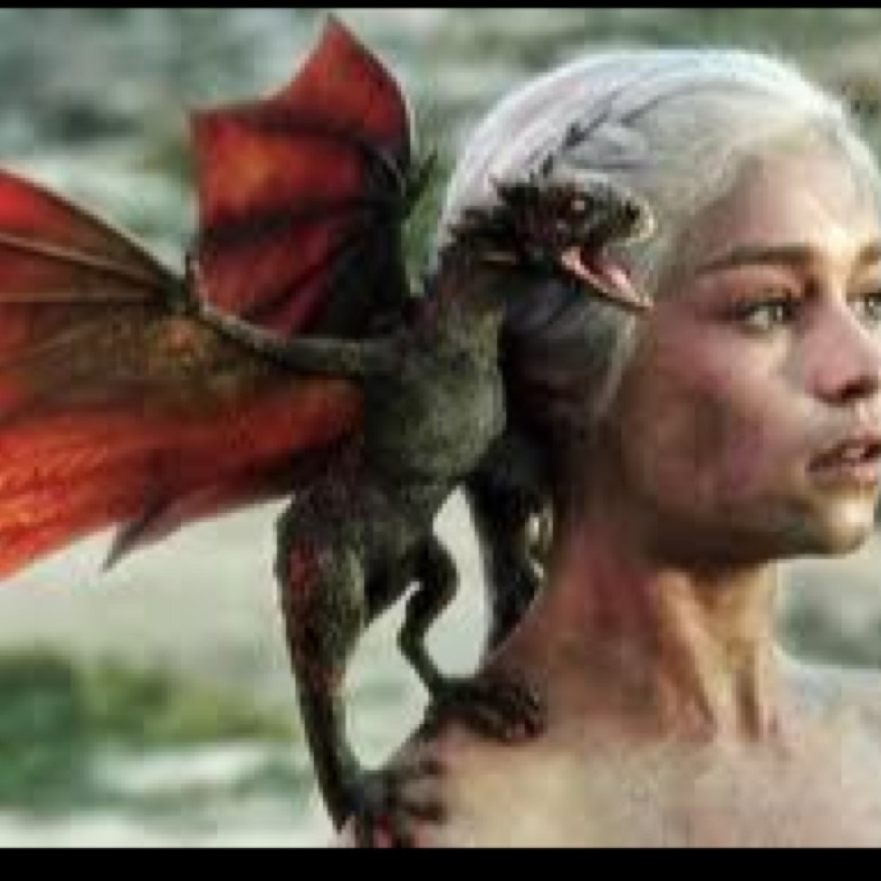 msdanytargaryen's profile picture. 