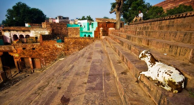 BrownDevStud's profile picture. Development Studies is an interdisciplinary social sciences concentration at Brown University in Rhode Island, USA.