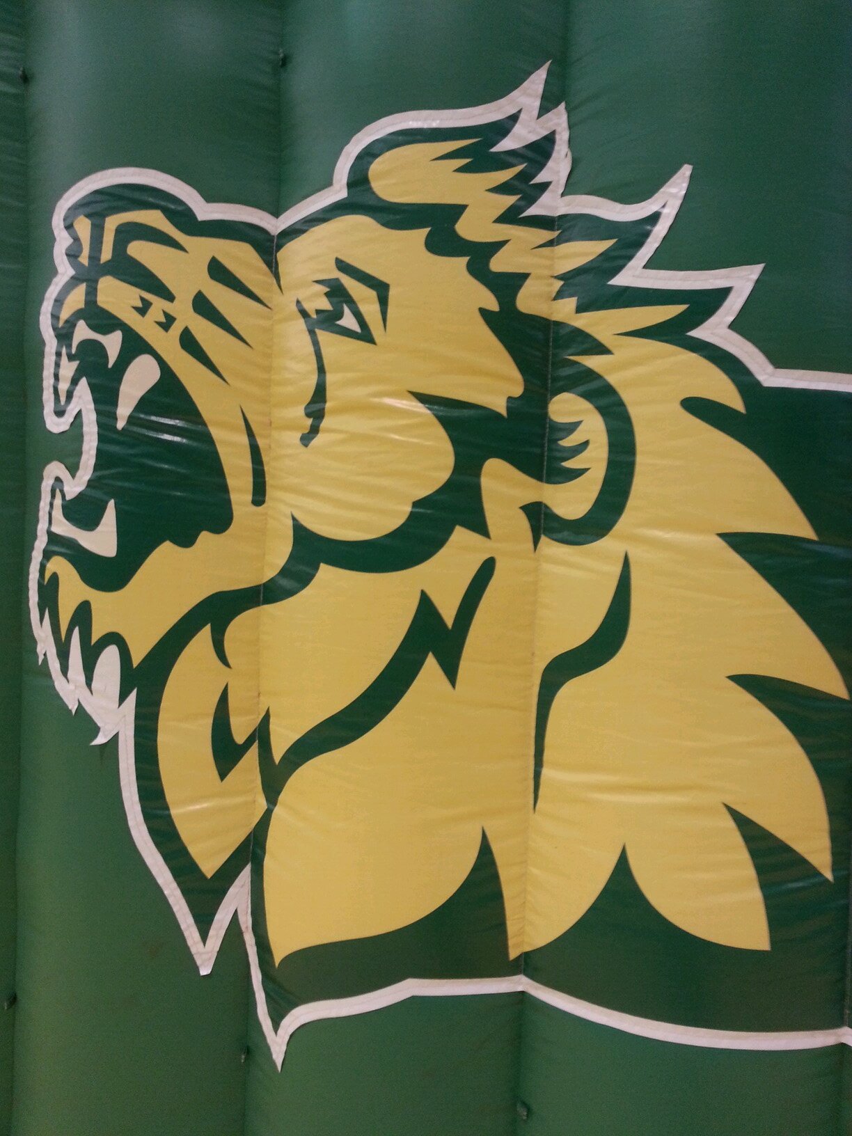 Missouri Southern State University Cheerleading