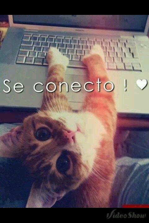 KETE PUEDO DECIR *--*