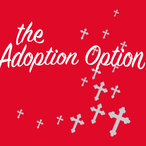 Raise Money. Awareness. Spirits. Help raise money to begin the adoption process!
