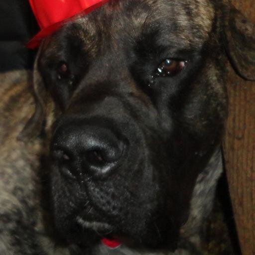 olen326's profile picture. 