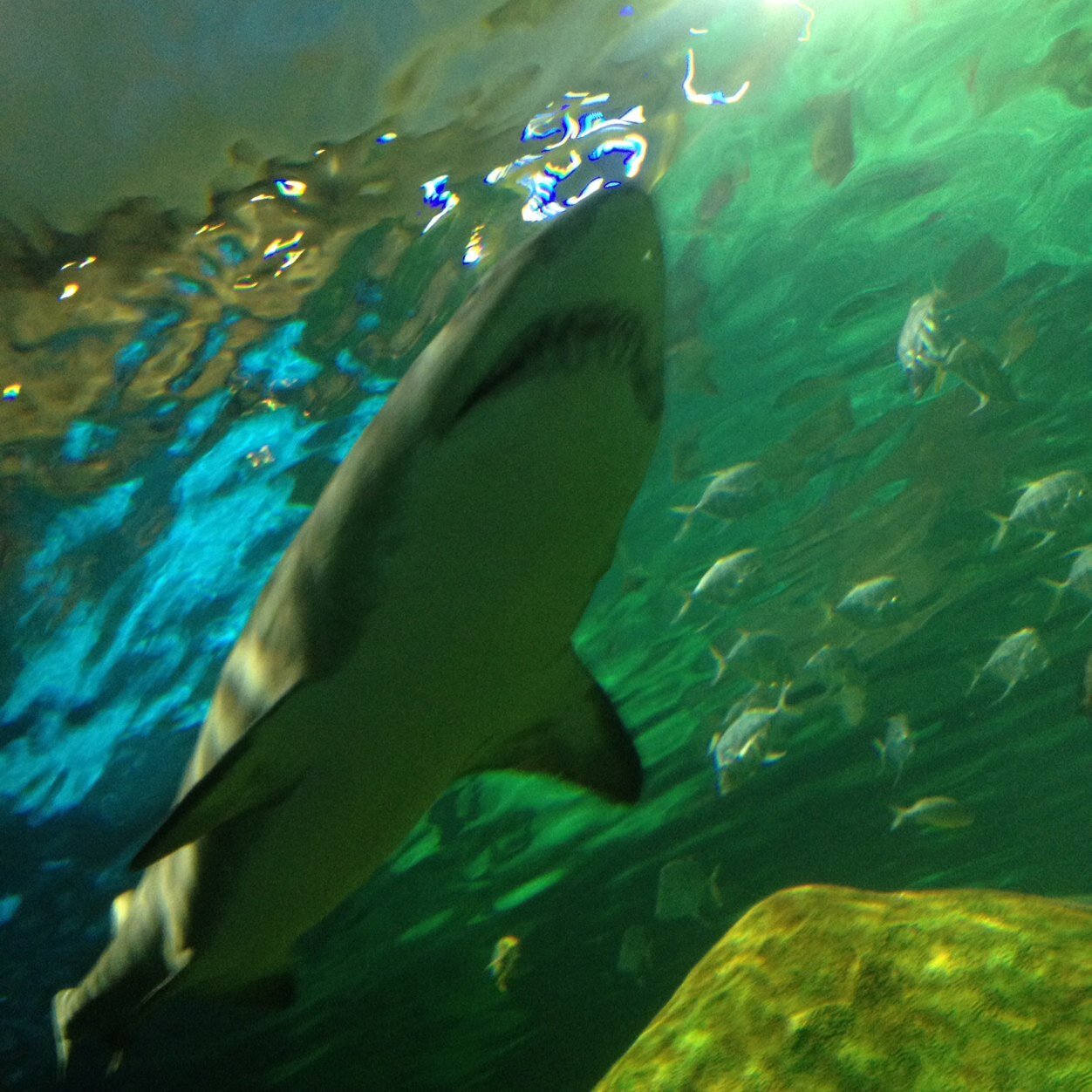 Ty_rabs's profile picture. 