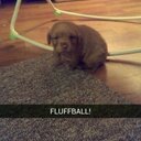 Catherine Coon - @CoonCatherine - Twitter