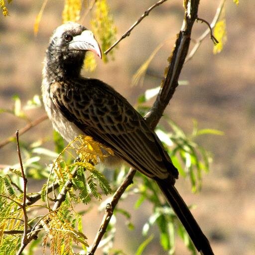 For all the latest wildlife news, discoveries and adventures!