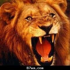تم ألأختراق من قبل مطفووق هــككــر لوجهه الله تعالى ..-
qb5@hotmail.com
skY:koko.201110