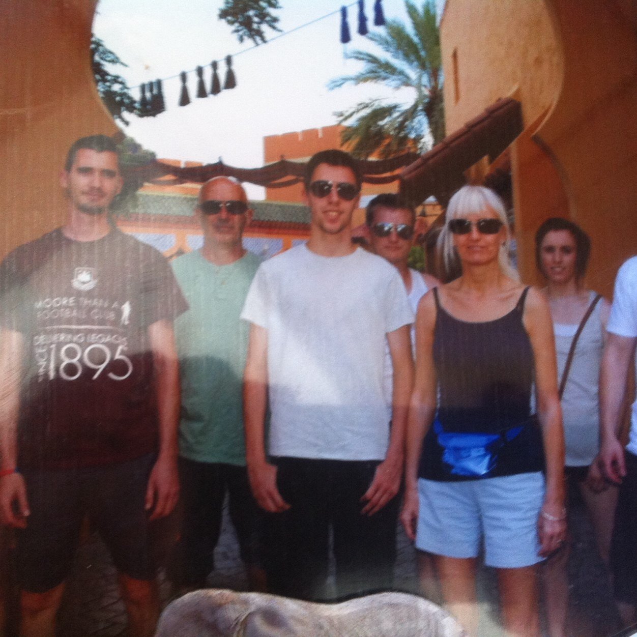 apedler95's profile picture. 