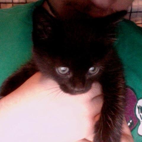 MattleMusic's profile picture. 