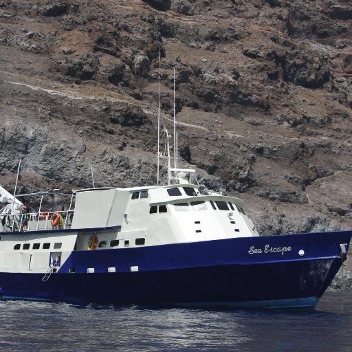 SeaEscapeLiveab's profile picture. Liveaboard Scuba Diving Trips to Guadalupe and Socorro