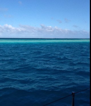 lauraSandrinB's profile picture. 