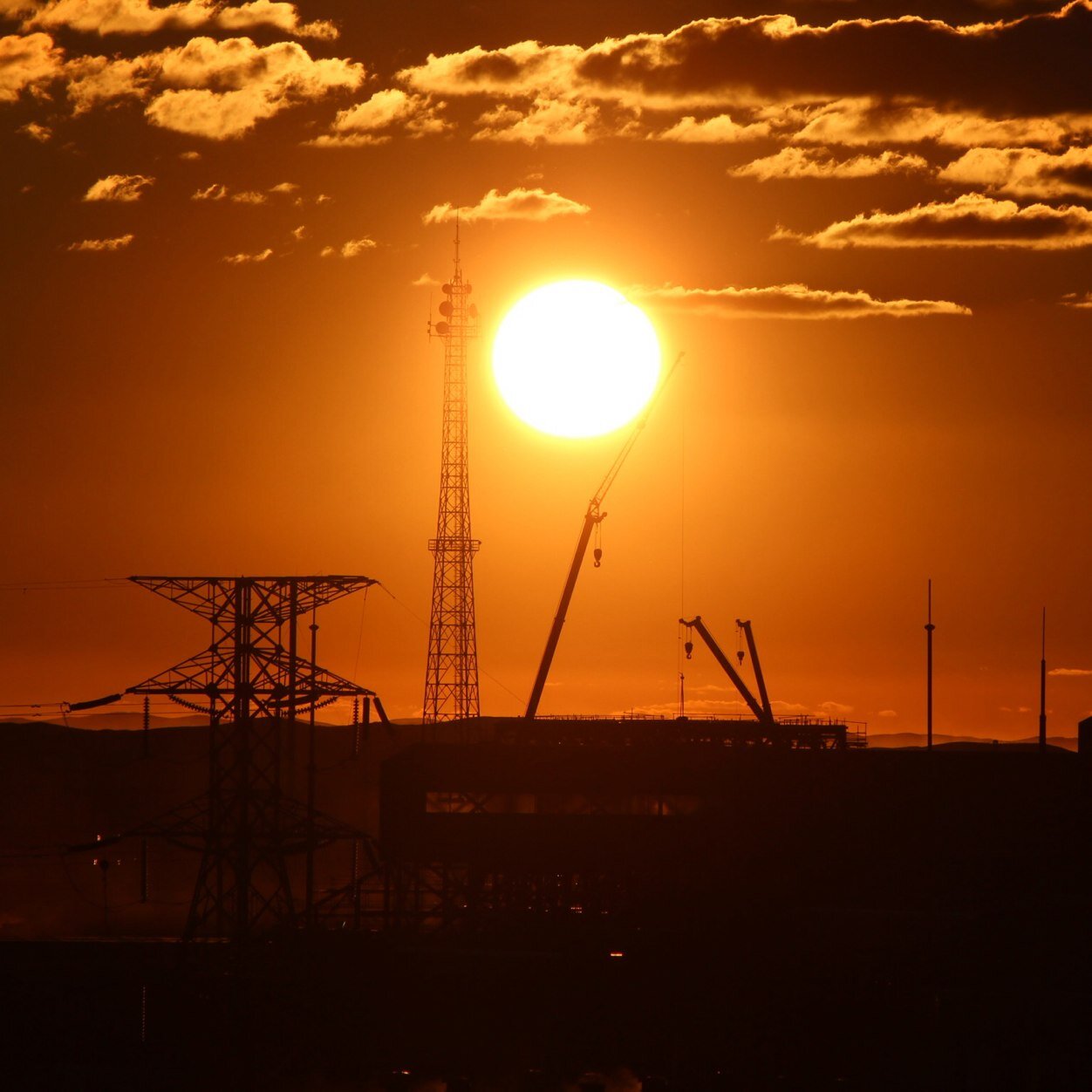 sumiya0111's profile picture. 