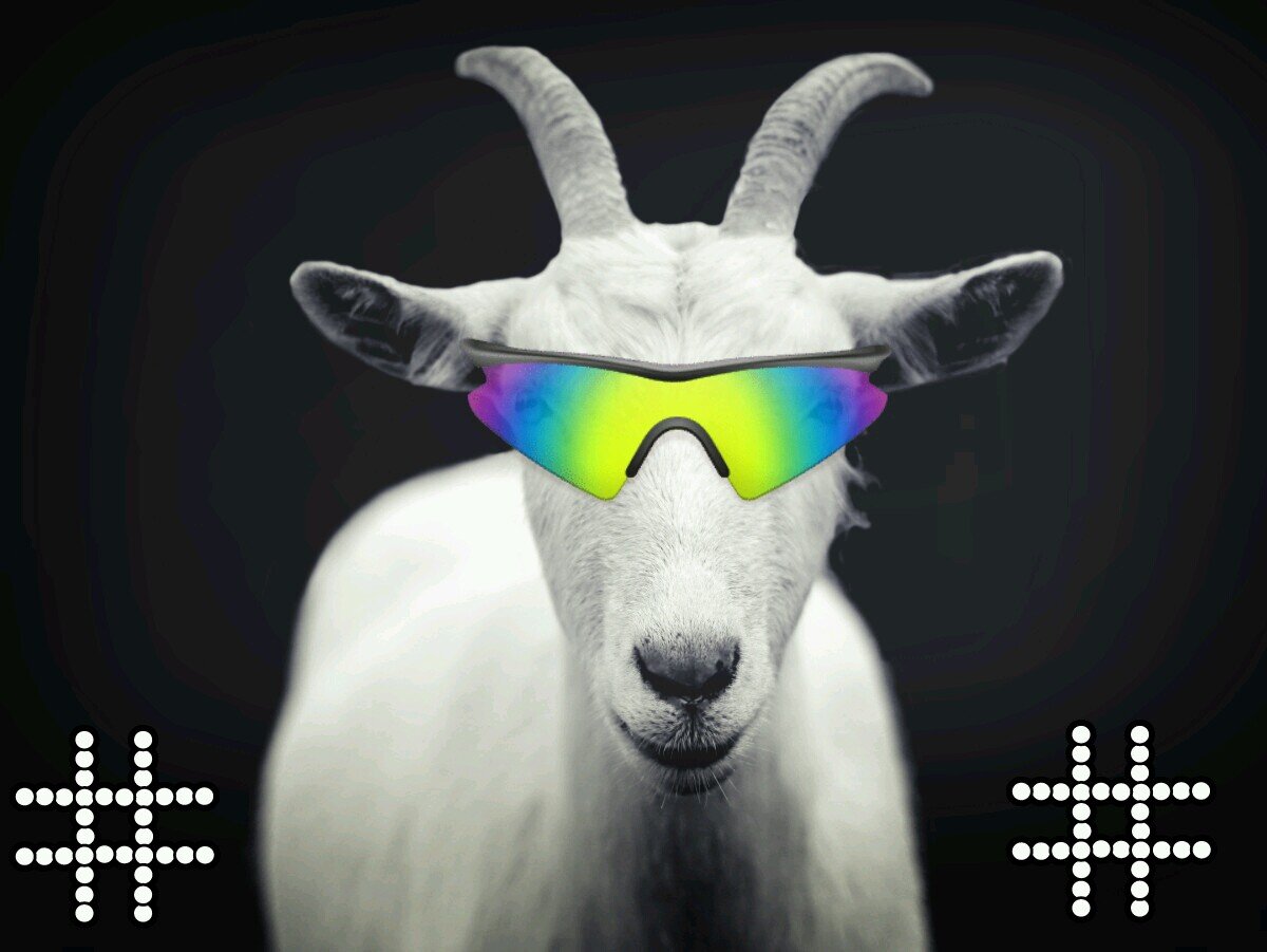 GOATGangClique's profile picture. 