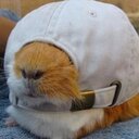 Joyce Ritter - @jritter92 - Twitter